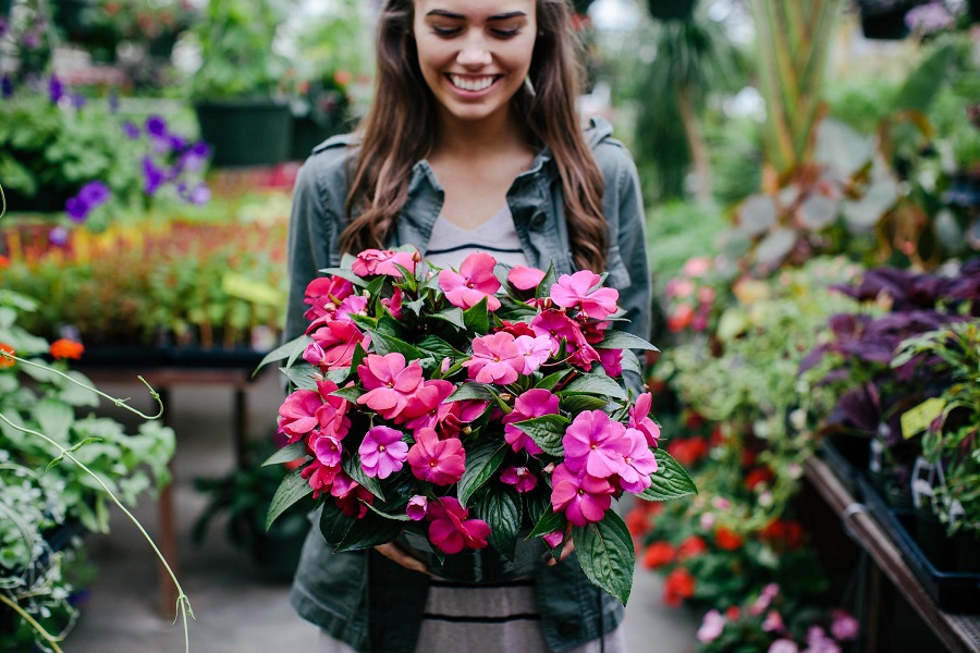 A girl holds a fresh bouquet of bright, pink flowers in a greenhouse